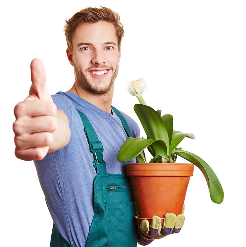 Gardener giving thumbs up